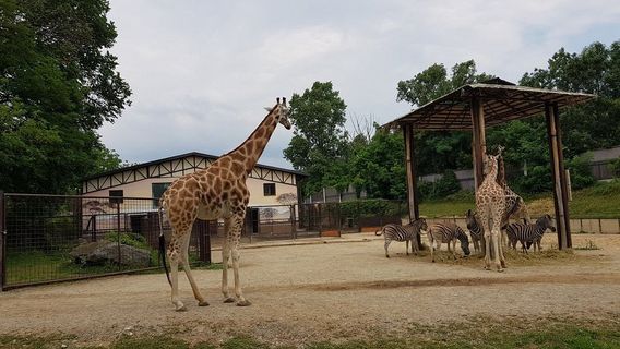 Zoo Bratislava