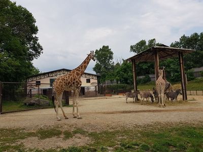 Zoo Bratislava