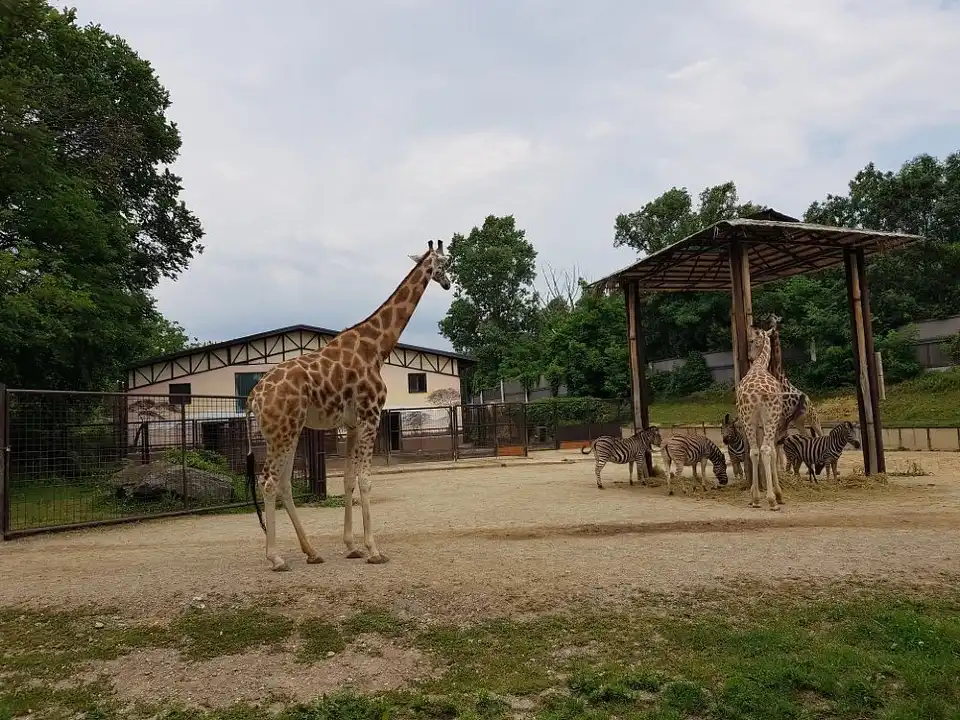 1_Zoo Bratislava