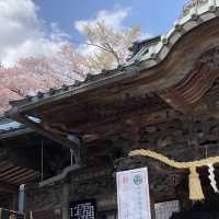 春の高尾山