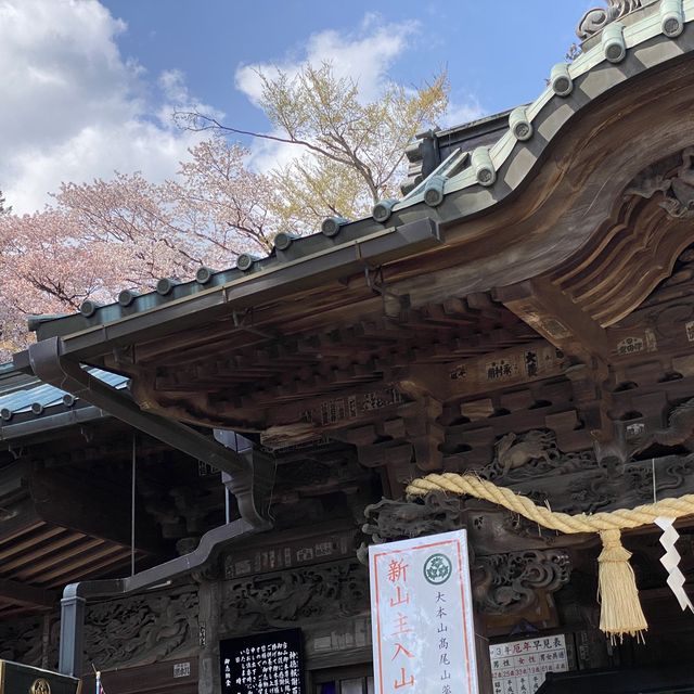 春の高尾山