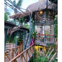 「芽莊·鸟巢咖啡店」 排名第一咖啡网红店rainforest