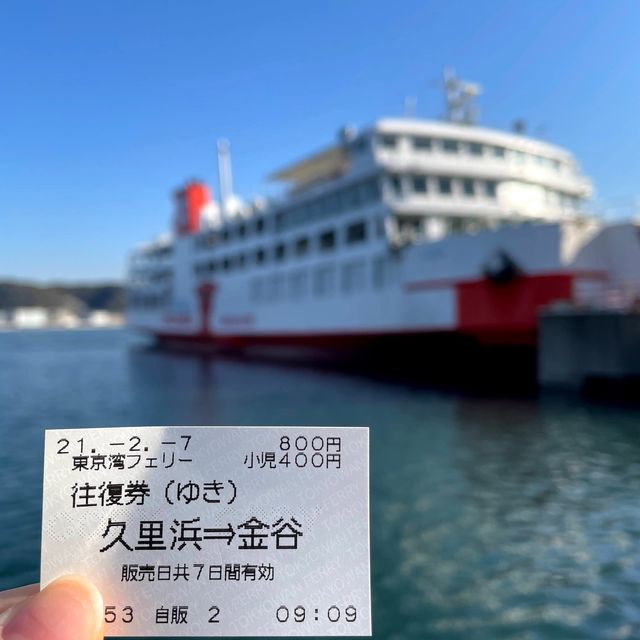 千葉県の隠れビュースポット"鋸山﻿"