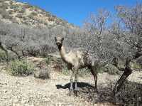 Afternoon hikes in Toubkal National Park