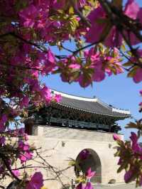 평화로움의 극치, 진주성