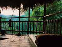 Zip-lining at the Gibbon Experience