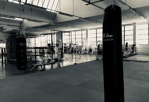 Palestra Europa Club