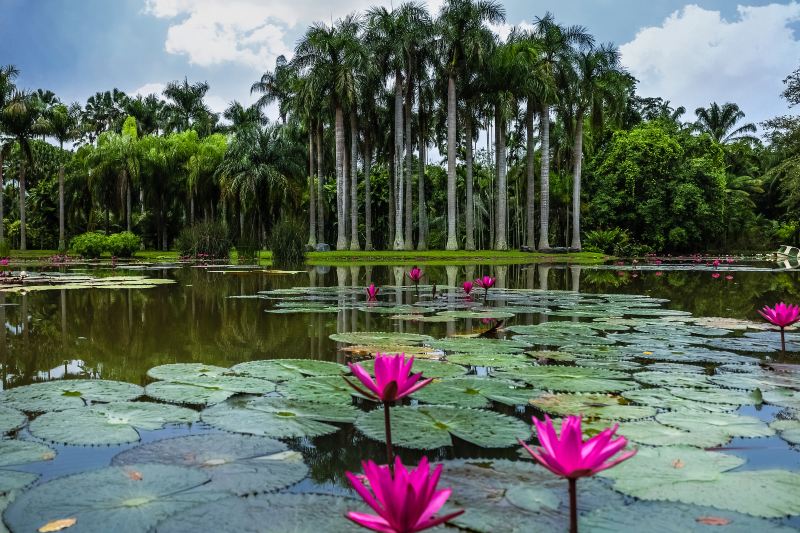 Xishuangbanna Wangtianshu Scenic Area