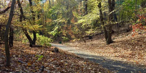 North Cave Wetlands Nature Reserve