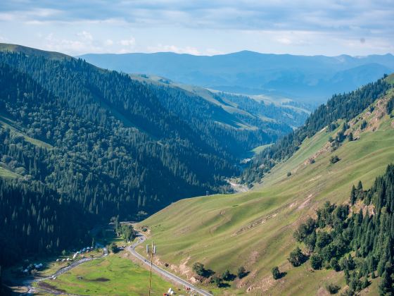 Tianshan Tuomu'er Forest Park