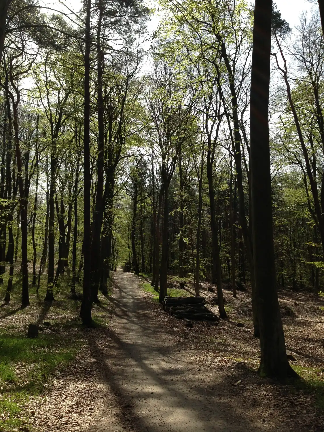 Hotel in zona Senlin Park