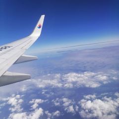 渡海小漁村·日照本幫菜（連雲港路店）張用戶圖片