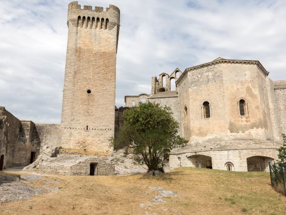 Abbaye de Montmajour