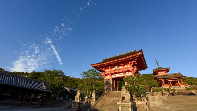 清水寺+東大寺+奈良公園+伏見稻荷大社一日遊【中文司機】