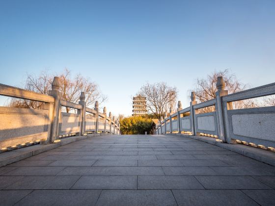 龍頭山国際観光リゾート区