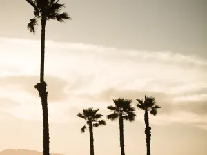 Santa Monica State Beach