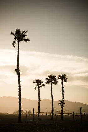 Отзывы об отеле Fairfield Inn & Suites Oakhurst Yosemite