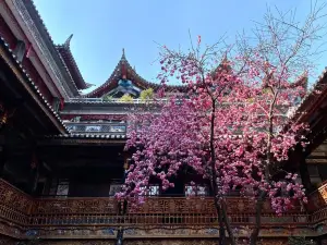 Zhang Jia Garden