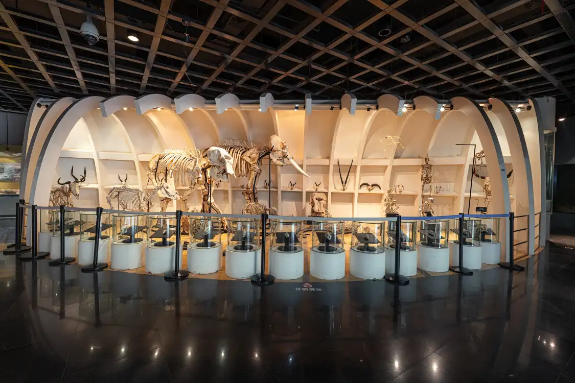 Hotel in zona Kunming Zoology Museum