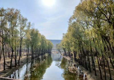 Wangkuai Reservoir