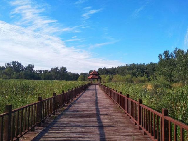 Bailang Oasis Wetland Park