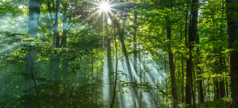 Pet Friendly Hotels in Wisconsin, United States