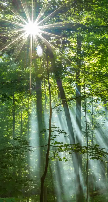 Hoteles con piscinas en Wisconsin, Estados Unidos