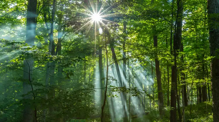 Hotels mit WLAN in Wisconsin, Vereinigte Staaten