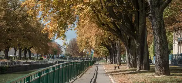 Mulhouse