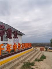 Shimao Ruins of Shenmu