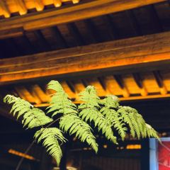 1877·黔 User Photo