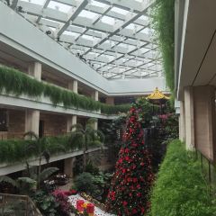 HONGTU HALL User Photo