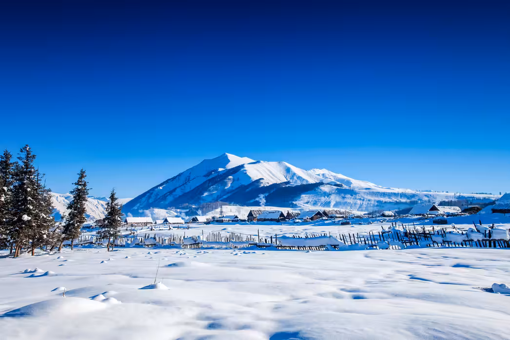 Brisbane to Altay Prefecture Flights