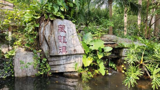 国庆节来到肇庆，今天上午计划去九龙湖风景区，为了保护水质景区