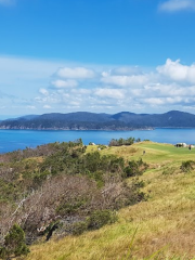 デント島