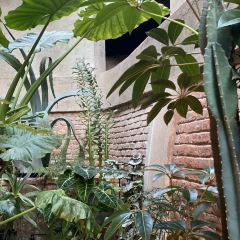 一尺花园(红窑店) User Photo