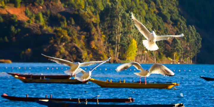 Sichuanlugu Lake Scenic Area