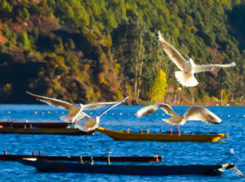 Sichuanlugu Lake Scenic Area