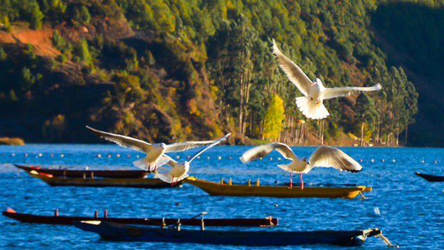 Sichuanlugu Lake Scenic Area