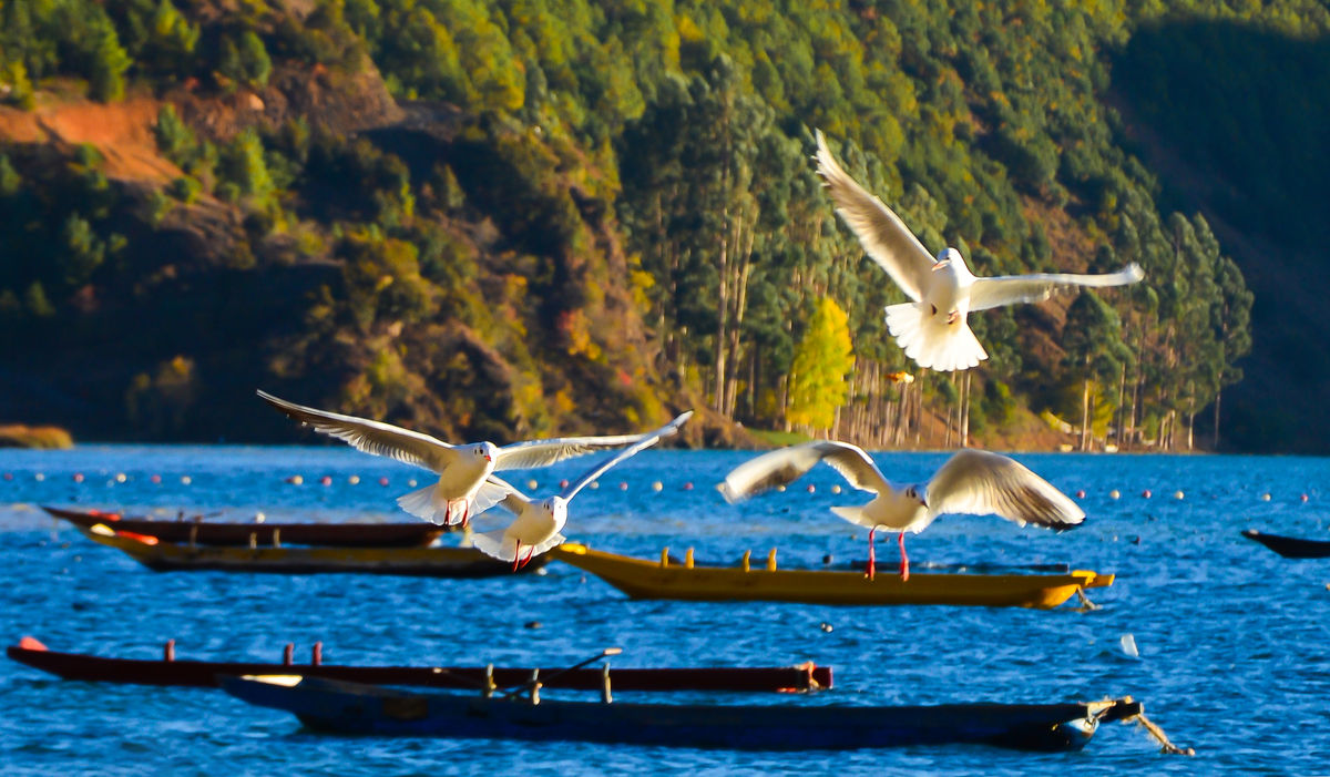 Lugu Lake (Sichuan) Scenic Area