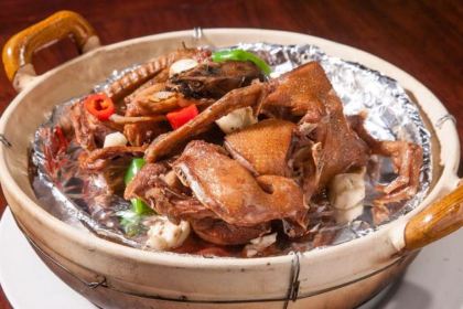 光头强富起来农庄