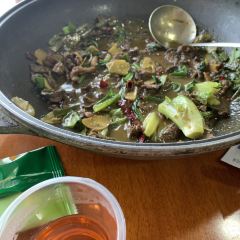 粗茶淡飯張用戶圖片