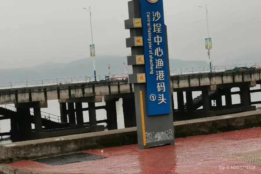 Порт Шань Цуй