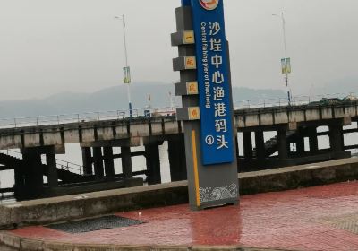 Порт Шань Цуй