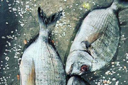 Ristorante Sopravvento