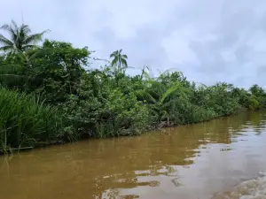 Bongawan Wetland