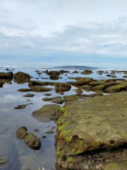 Pantai Karapyak Pasir putih