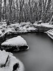 Snow Marine Park