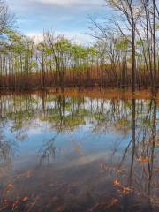 Jackson Bog State Nature Preserve