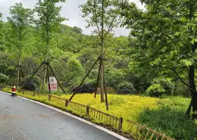 羨山植物園